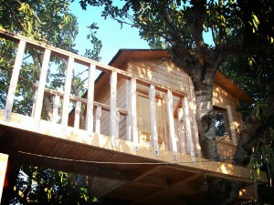 Casita de madera realizada sobre árbol en exteriores de un chalet